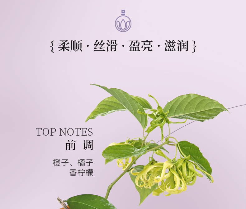丽塔斯特丝滑盈润水养素_壹号娱乐app官网国际官网-壹号娱乐app官网美容保健品有限公司官网-壹号娱乐app官网金纯官网