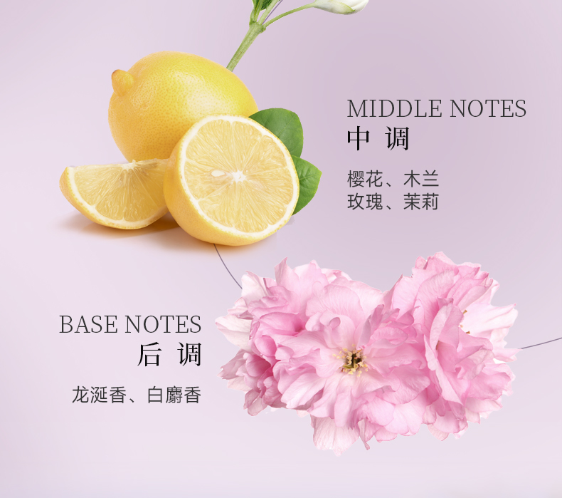 丽塔斯特去屑柔顺花本香氛洗发乳_壹号娱乐app官网国际官网-壹号娱乐app官网美容保健品有限公司官网-壹号娱乐app官网金纯官网