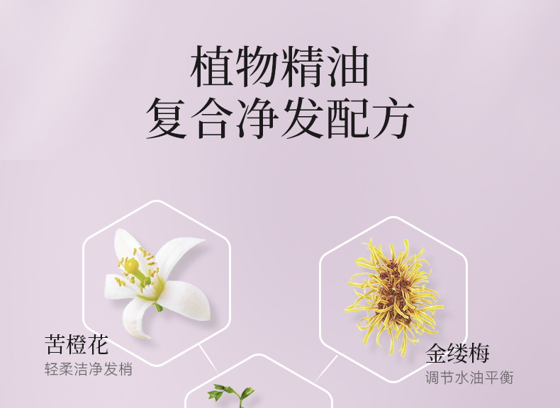 丽塔斯特控油蓬松花本香氛洗发乳_壹号娱乐app官网国际官网-壹号娱乐app官网美容保健品有限公司官网-壹号娱乐app官网金纯官网