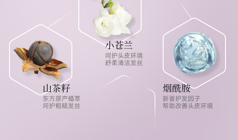 丽塔斯特控油蓬松花本香氛洗发乳_壹号娱乐app官网国际官网-壹号娱乐app官网美容保健品有限公司官网-壹号娱乐app官网金纯官网