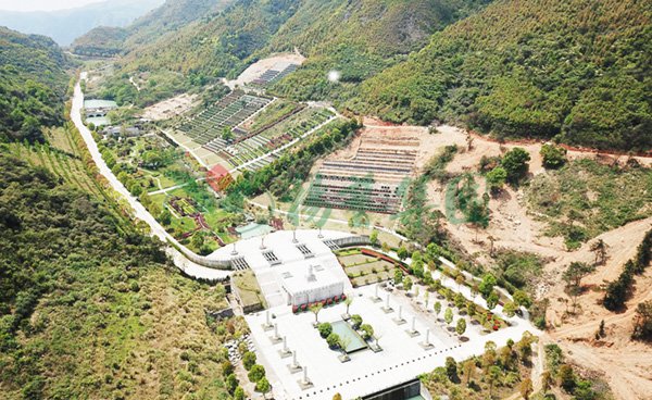 1-22020Q114213E 威客电竞·VKGAME(中国区)官方网站