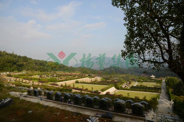 威客电竞·VKGAME(中国区)官方网站