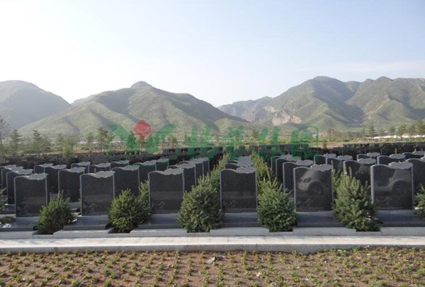 1-2202091A445M4 威客电竞·VKGAME(中国区)官方网站