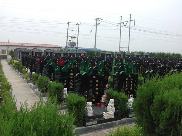 1-22021014061L23 威客电竞·VKGAME(中国区)官方网站