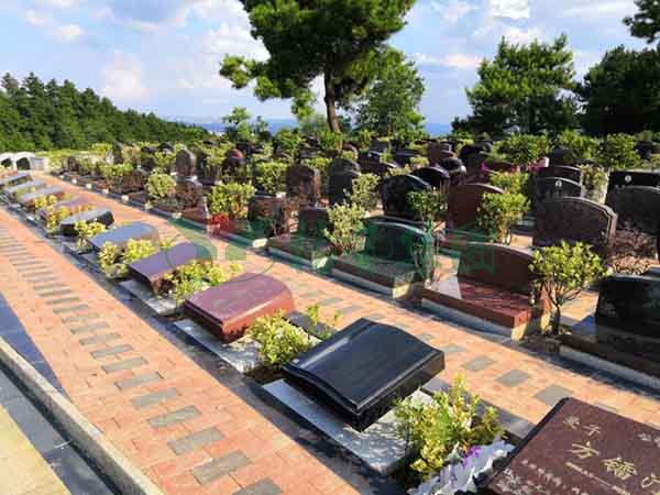 1-2202240R444405 威客电竞·VKGAME(中国区)官方网站