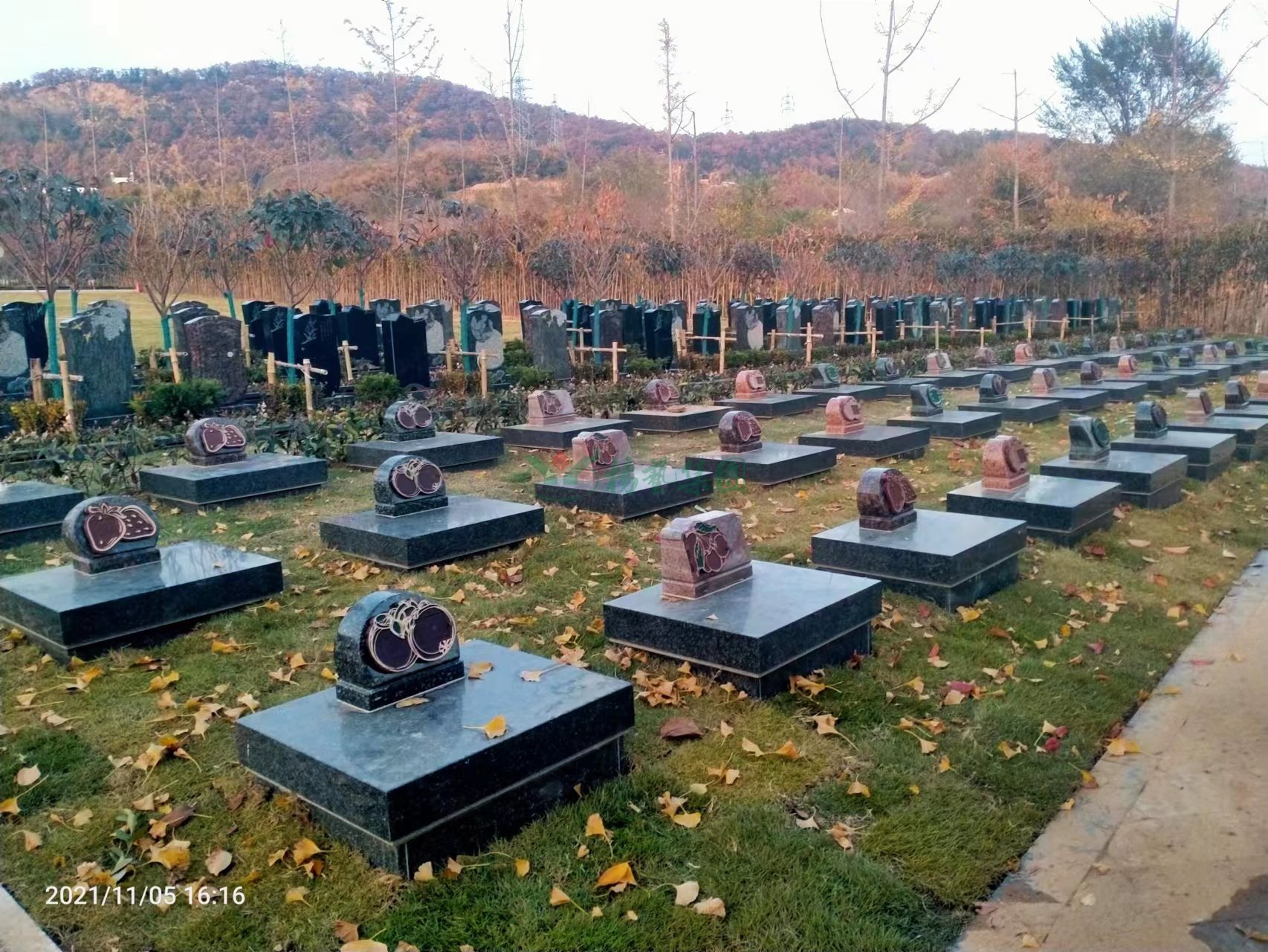 1-22052G405053P 威客电竞·VKGAME(中国区)官方网站