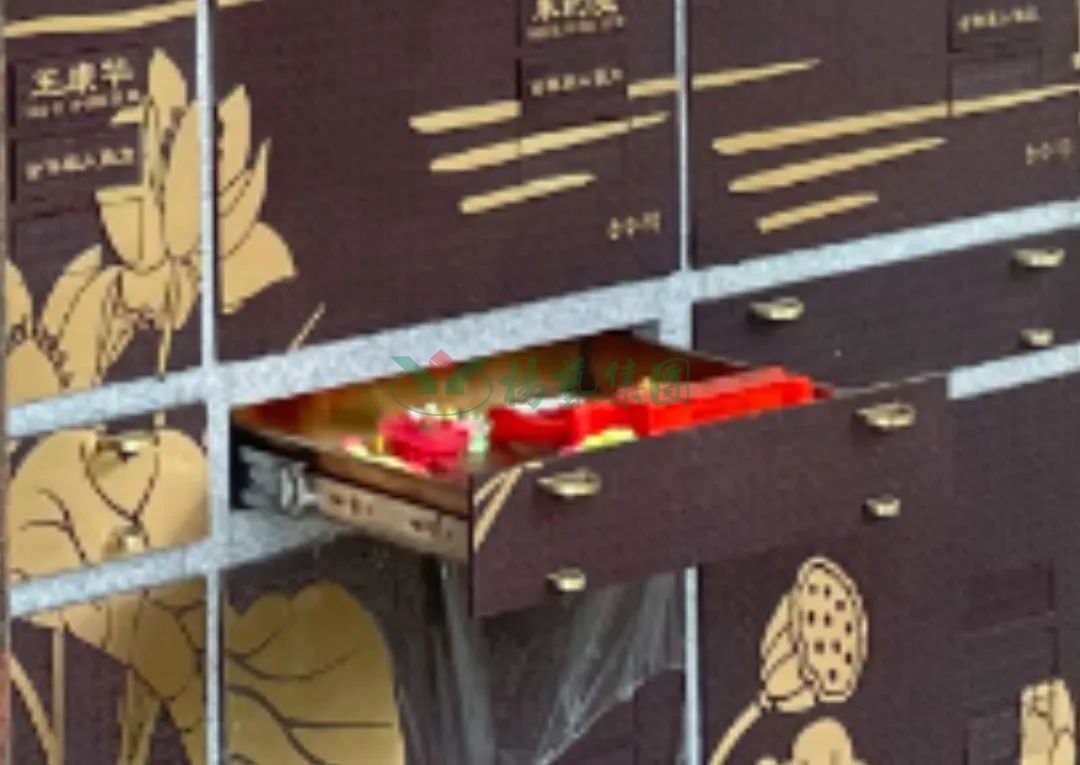 威客电竞·VKGAME(中国区)官方网站