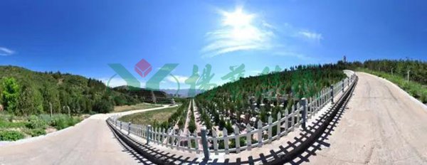 威客电竞·VKGAME(中国区)官方网站