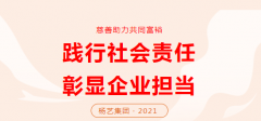 杨艺集团向咸宁市南浔区慈悲总会捐款30万元