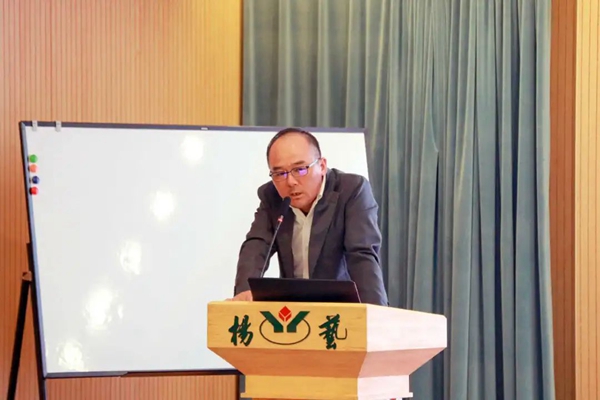 威客电竞·VKGAME(中国区)官方网站
