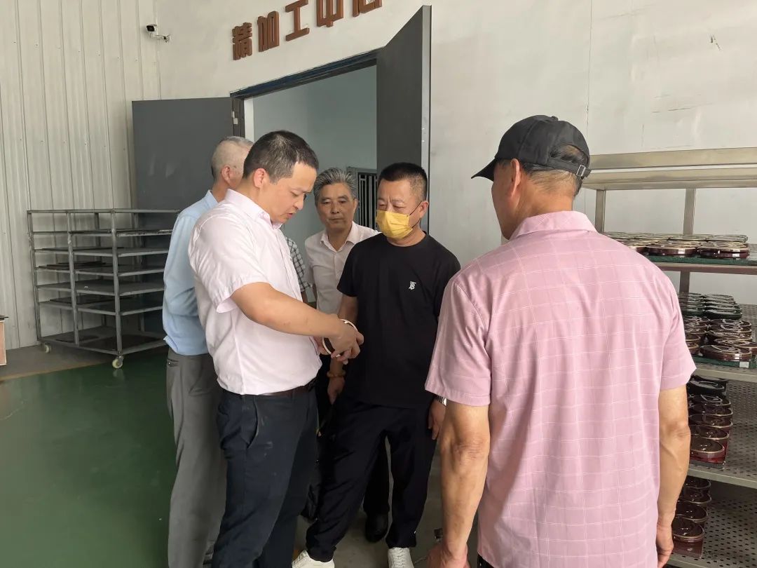 威客电竞·VKGAME(中国区)官方网站