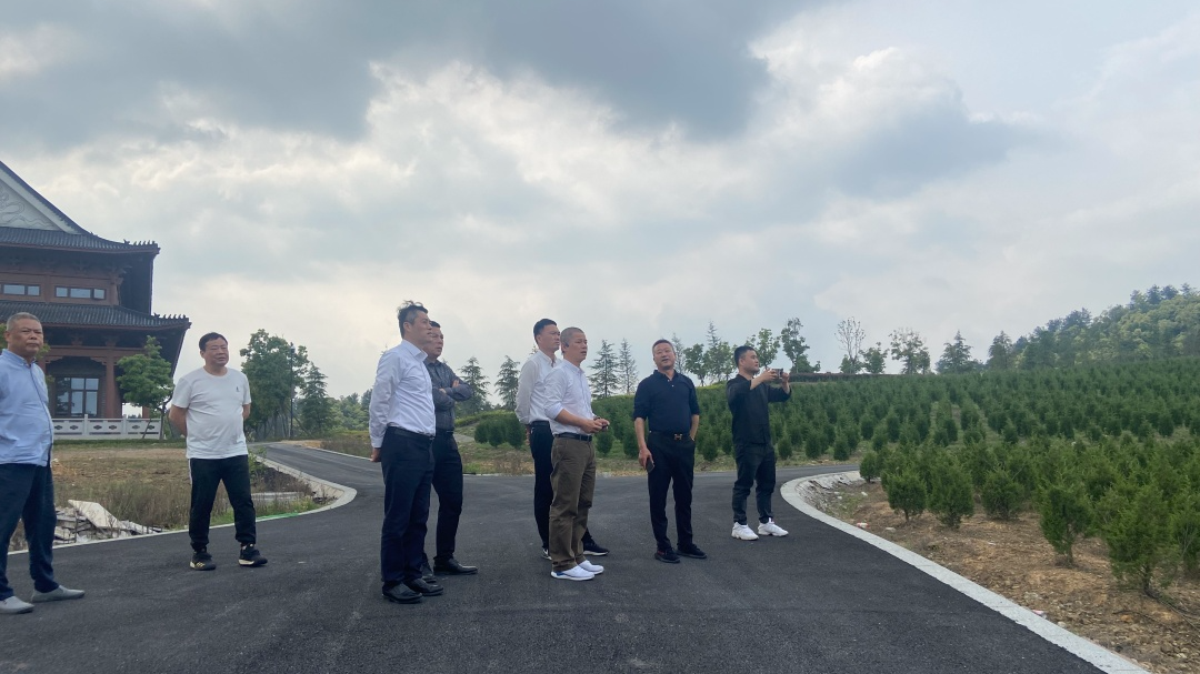1-23050Q33105T3 威客电竞·VKGAME(中国区)官方网站