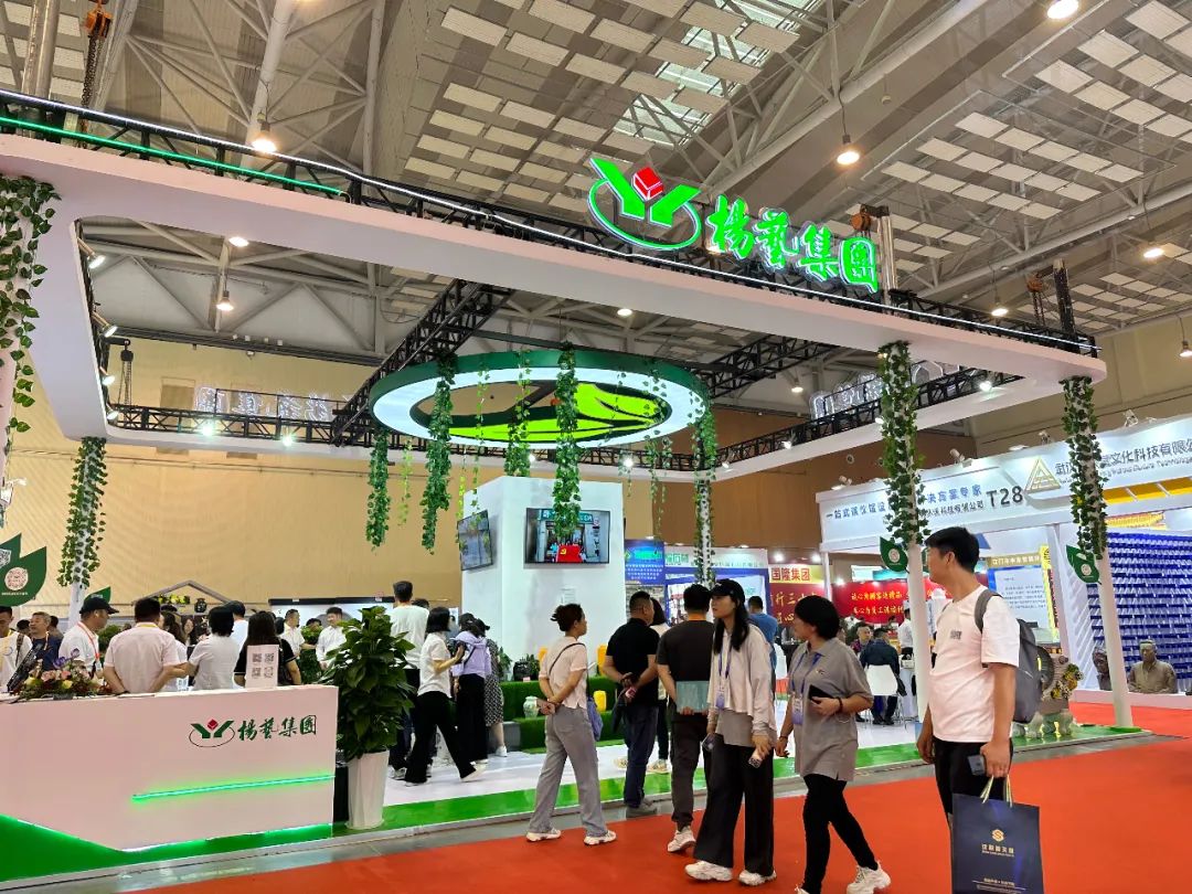 威客电竞·VKGAME(中国区)官方网站