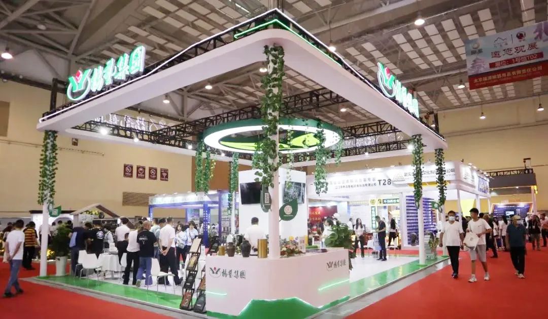 1-230615150100916 威客电竞·VKGAME(中国区)官方网站