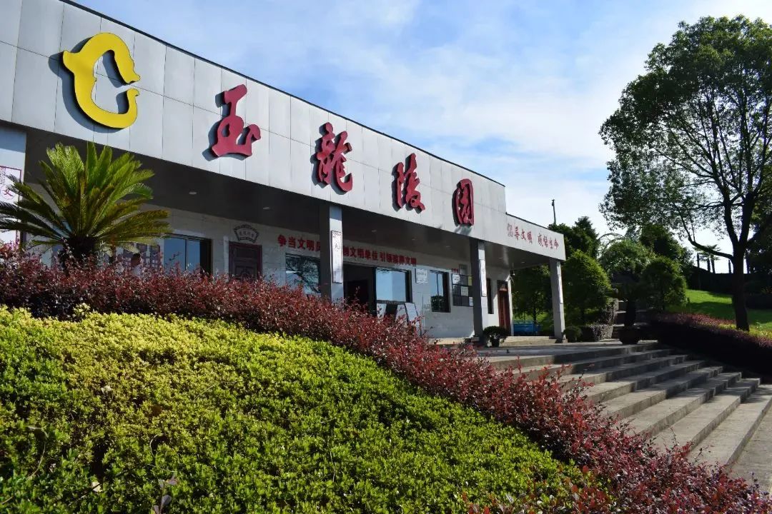 1-230R2134331X6 威客电竞·VKGAME(中国区)官方网站