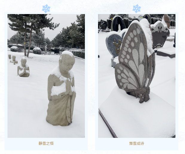威客电竞·VKGAME(中国区)官方网站