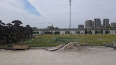 老墓园微刷新，助力城市人文关切