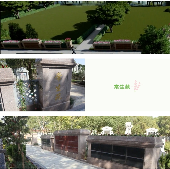 1-240130133F6438 威客电竞·VKGAME(中国区)官方网站