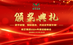 2024年杨艺集团迎新春年会暨颁奖典礼盛猛进行