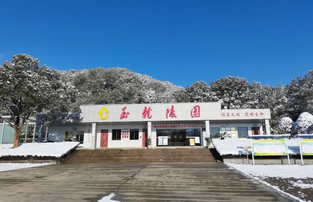 1-2402260T532X5 威客电竞·VKGAME(中国区)官方网站