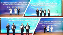 杨艺集团荣获“凸起贡献单元”称号