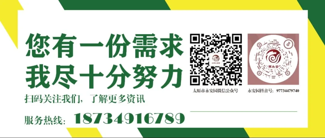 1-240615105130424 威客电竞·VKGAME(中国区)官方网站
