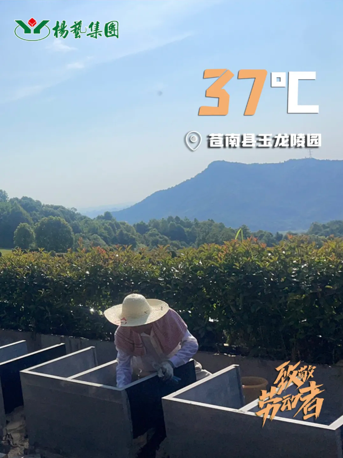 威客电竞·VKGAME(中国区)官方网站