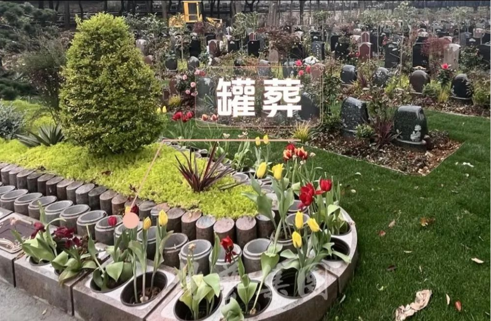 1-240H9143306104 威客电竞·VKGAME(中国区)官方网站