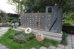 致敬“安然卫士”，铭刻“刑警之魂”