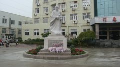 石雕匠心，镌刻医者风华