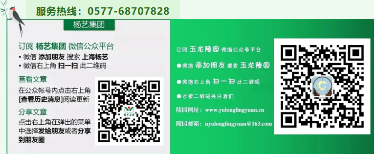 威客电竞·VKGAME(中国区)官方网站
