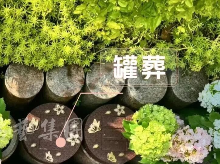 威客电竞·VKGAME(中国区)官方网站