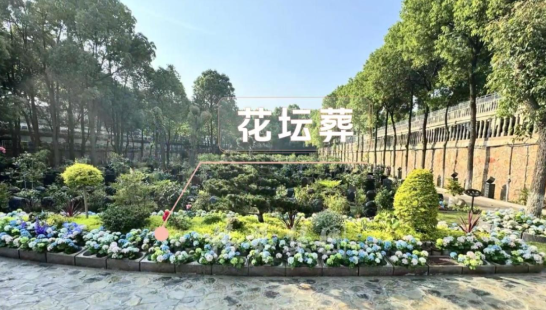 1-260R114313M30 威客电竞·VKGAME(中国区)官方网站