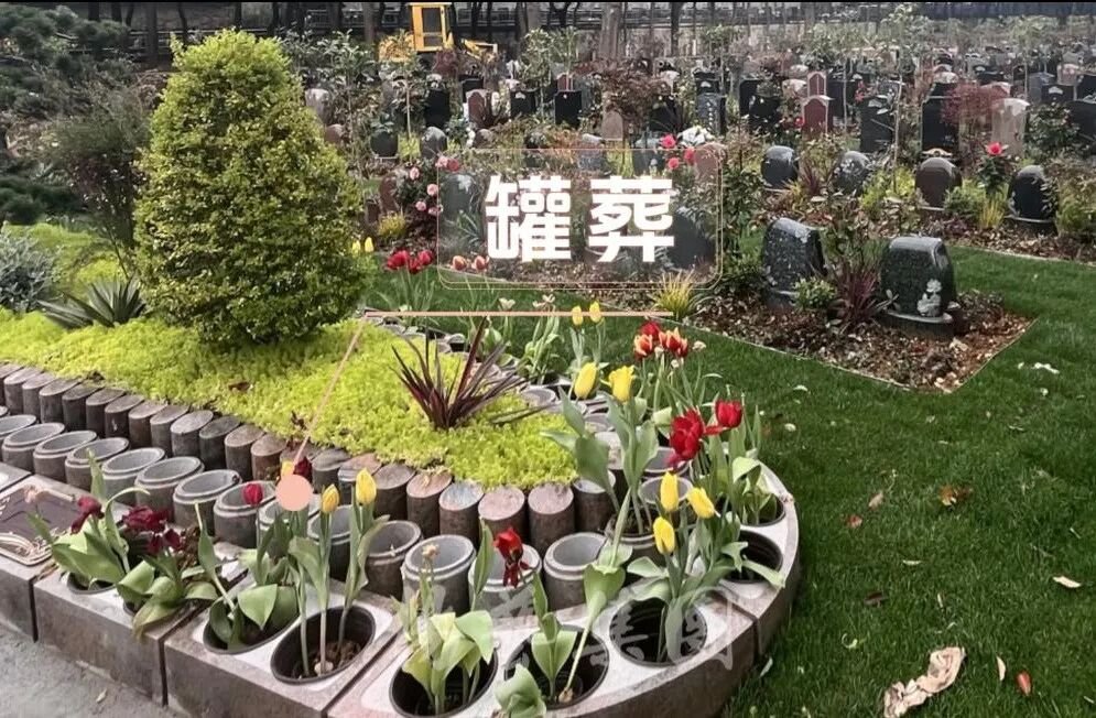 1-260R11432331H 威客电竞·VKGAME(中国区)官方网站