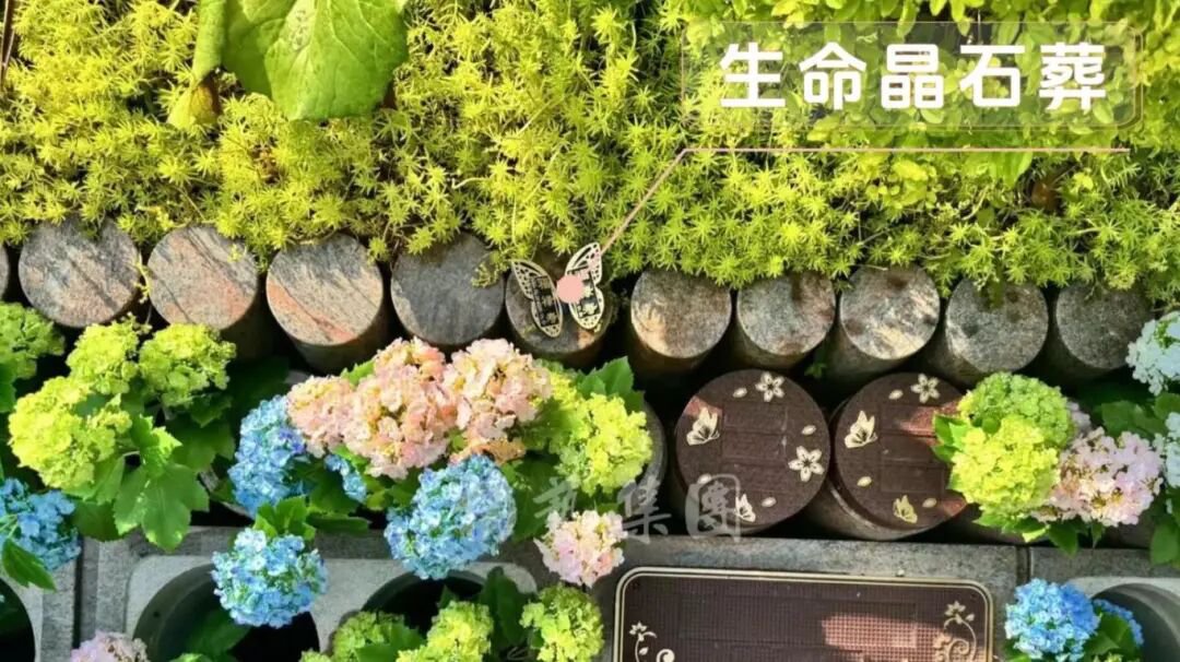 1-260R1143316435 威客电竞·VKGAME(中国区)官方网站